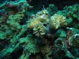 Curacao 04-12 174